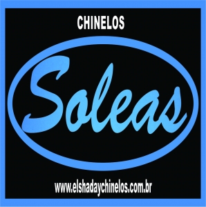 Chinelo Soleas grade 15 pares - Londrina - Paraná - Roupa -
