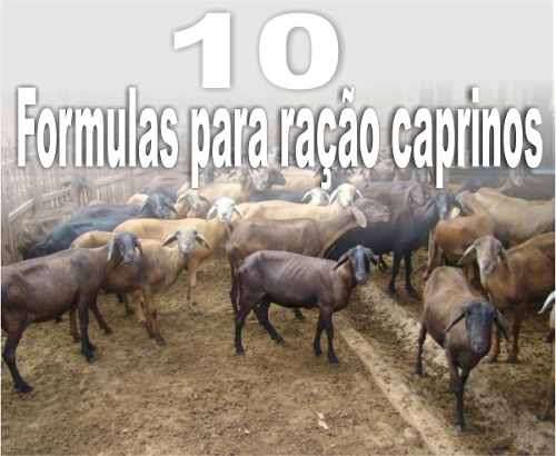 10 Formulas Para Ração Ovinos E Caprinos(frete Grátis)