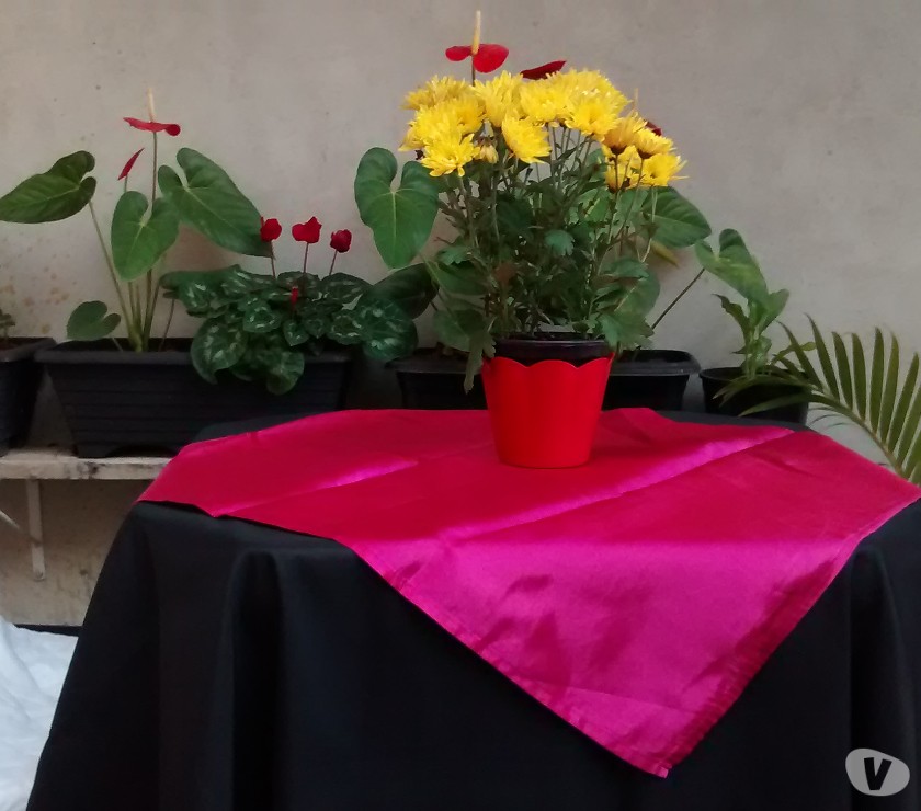 Locaçaõ de toalha de mesa com cobre manchas rosa chiclete