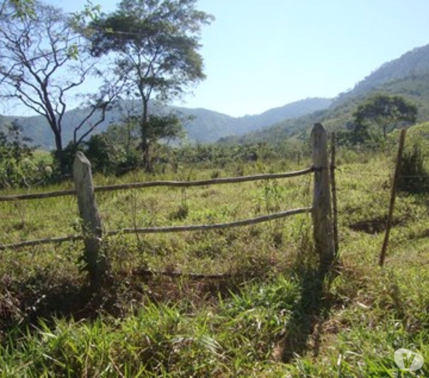 Fazenda com 9 alqueires em Paraiba do Sul RJ - 