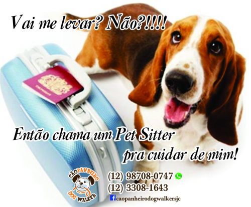 Pet Sitter São José dos Campos