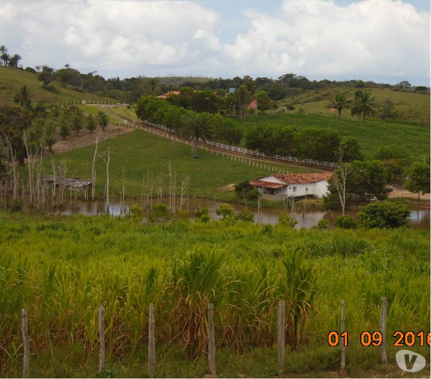 exuberante fazenda de 900 hectares no sul da Bahia