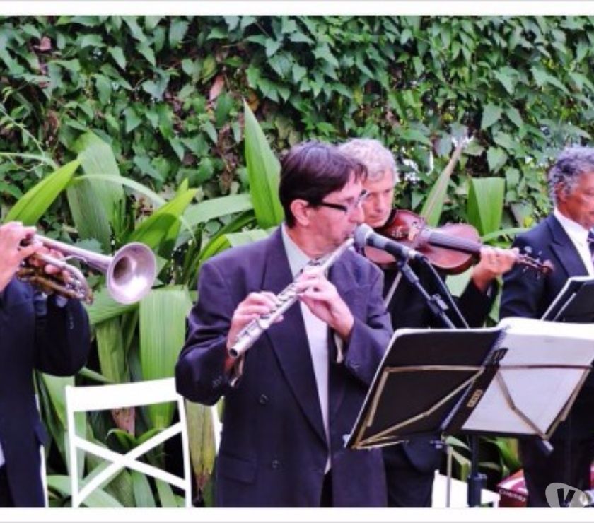 Trio de Jazz Quarteto de Jazz para Evento no Rio de Janeiro