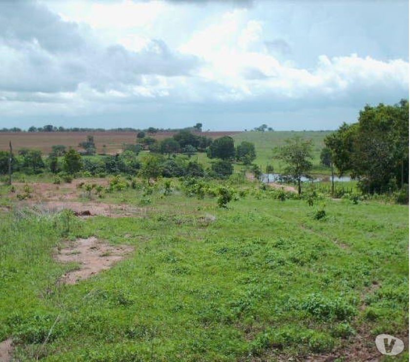 Fazenda 162 alqueires Norte de Goias