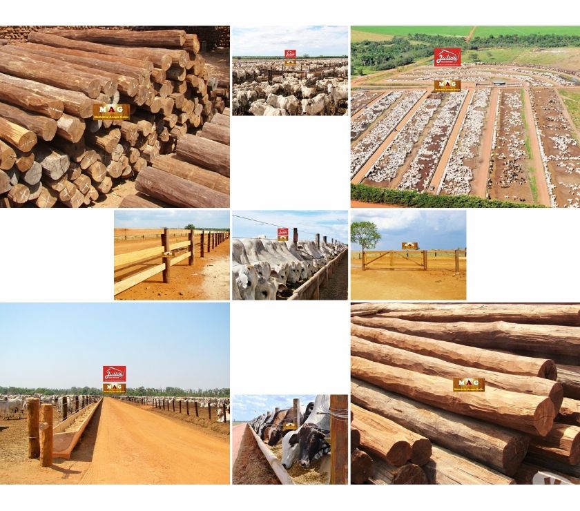 Roliços de madeira acapu em Goiás