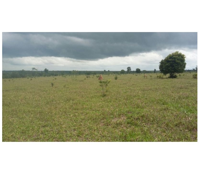 Fazenda Pecuária  hectares Santa Cruz do Xingu-MT
