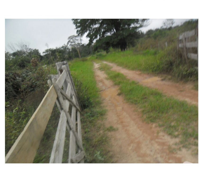fazenda de  hectares pecuaria Mato Grosso
