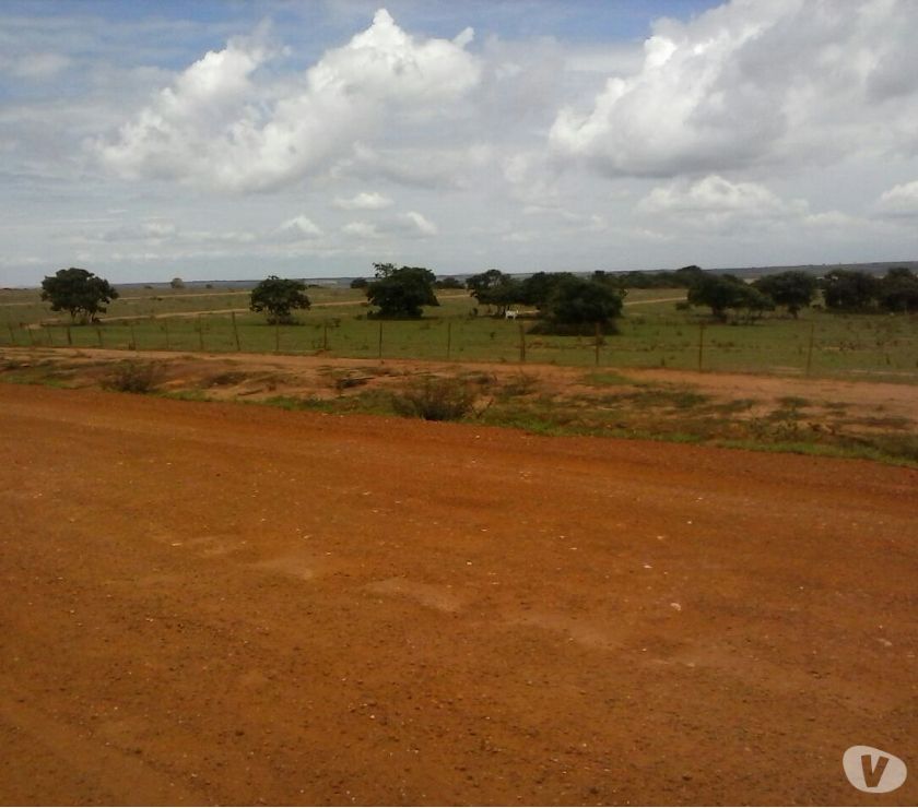 fazenda de 63 mil hectares no Mato Grosso
