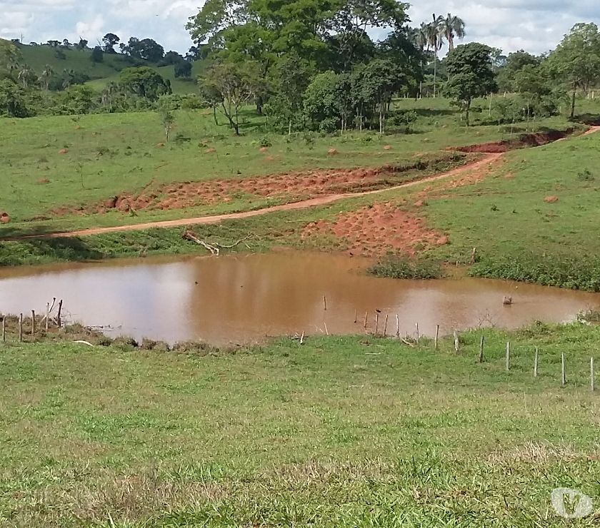 1 Alqueire com água a 60 km de Goiânia - Aceita Camioneta