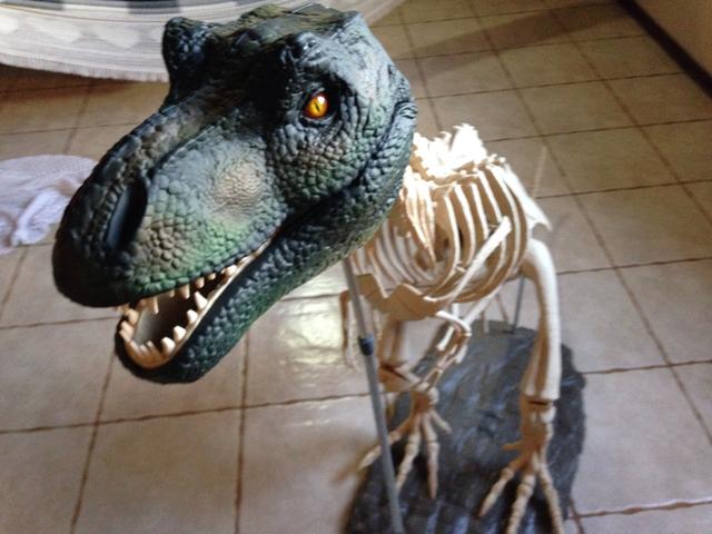Dinossauro Tyranossauro Rex