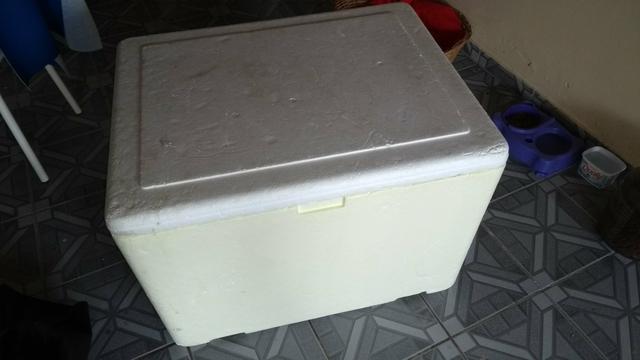 Caixa térmica de Isopor 160 litros