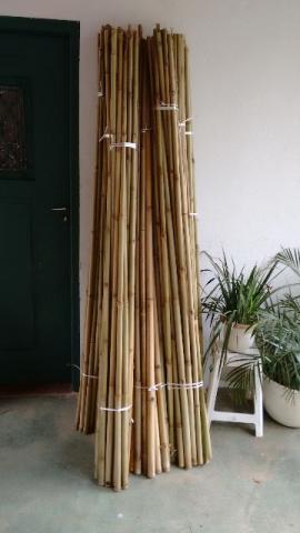 Bambu para Cerca, Treliça, Artesanato e Afins