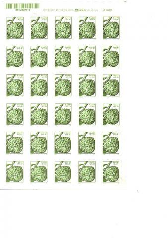 Folha Pinha com 30 selos