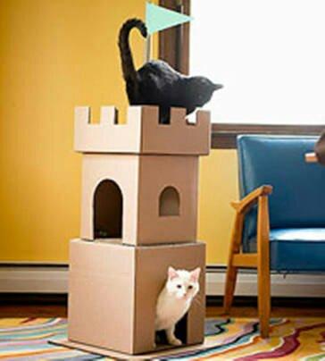 Casa para gato