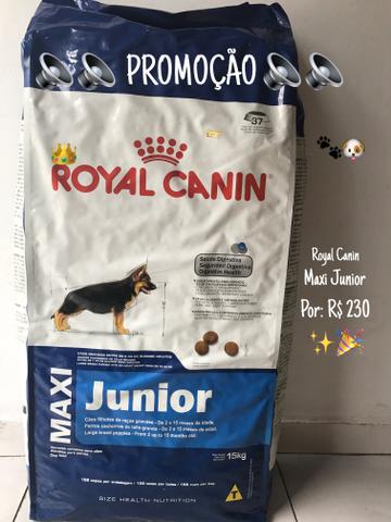Ração Royal Canin