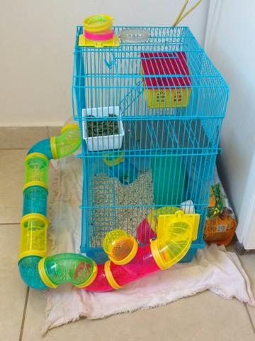 Gaiola de Hamster 3 andares + 2 hamsters