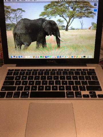 MacBook Pro (13-inch; i5; 4GB)