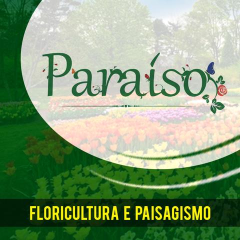 Paraiso Floricultura e Paisagismo
