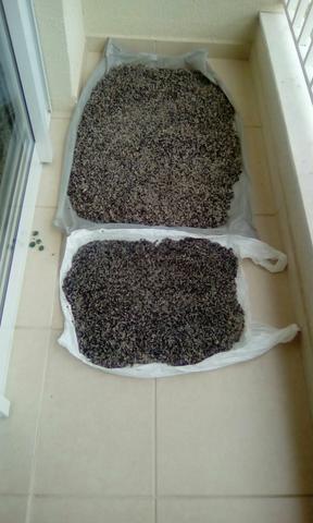 Cascalho de conchas 15kg