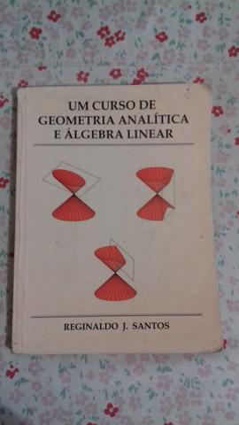 Um Curso de Geometria Analítica e Álgebra Linear