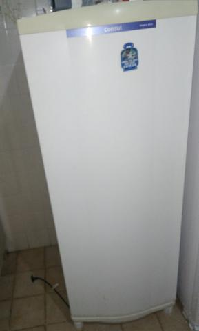 Refrigerador Consul 300 - Degelo Seco-leia