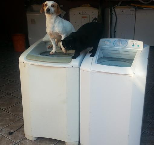 Maquina de lavar 8K