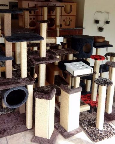 Arranhadores, nichos para gatos