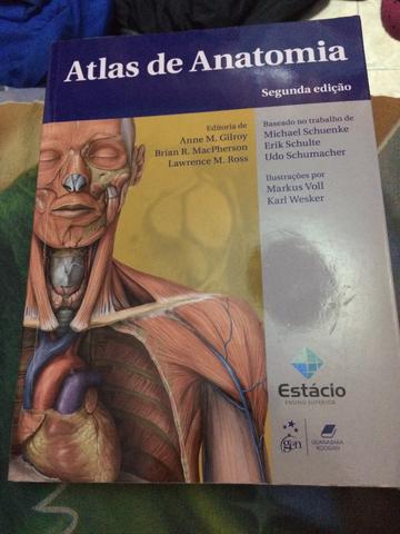 Atlas da Anatomia - Estacio