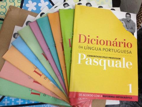 Dicionário da língua portuguesa comentado pelo professor
