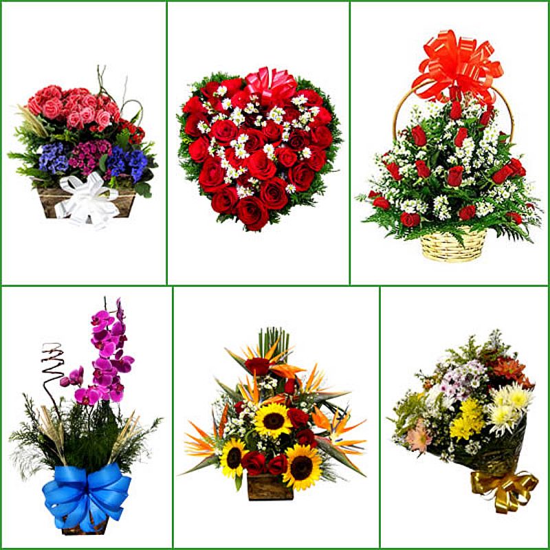 Flores em bh entrega flores, cestas de cafe hospital julia
