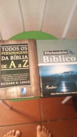 Livros biblicos