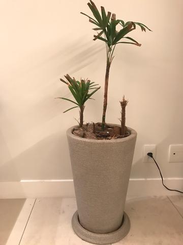 Vaso para planta