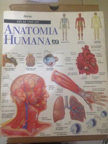 Atlas Visuais - Anatomia Humana