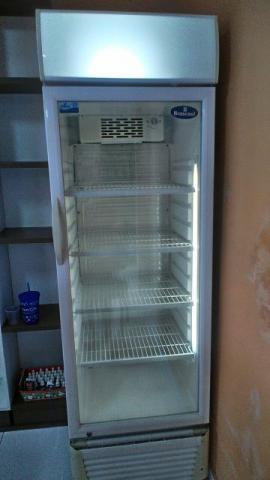 Refrigerador Expositor 350lt