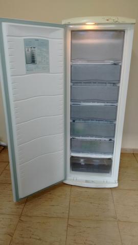 Vendo 1 freezer vertical da Consul