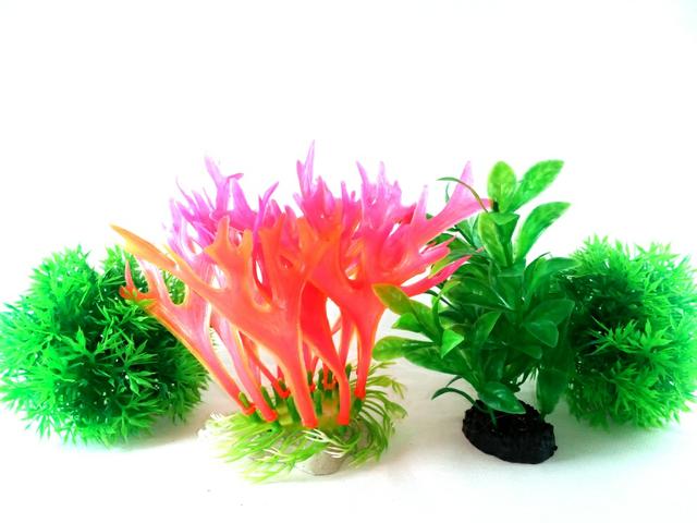 Plantas ornamentais para aquários belas plantas artificiais