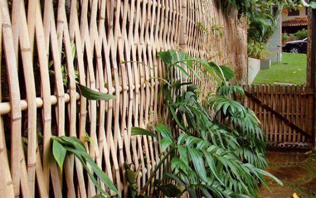 Pergolados cercas bambú cana-da-índia