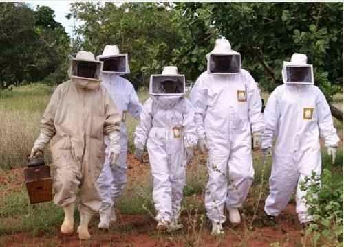Roupa de apicultura