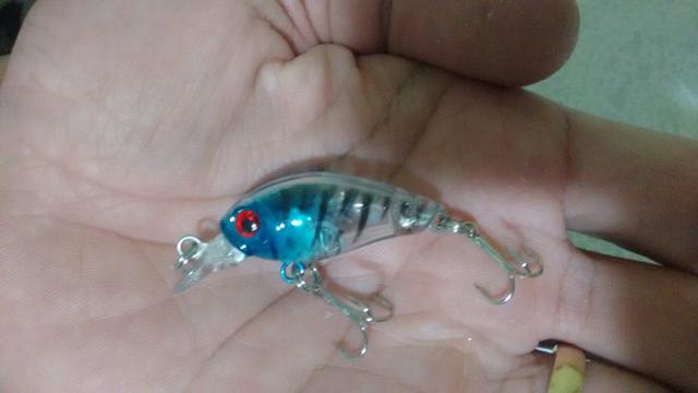 Peixinho azul