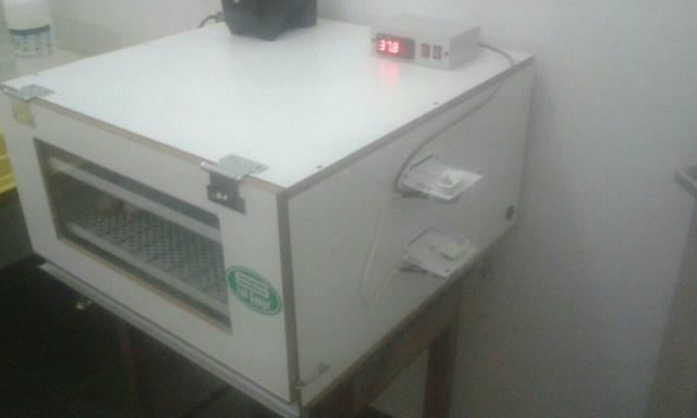Chocadeira 100% automática Termostato fullgarge Digital