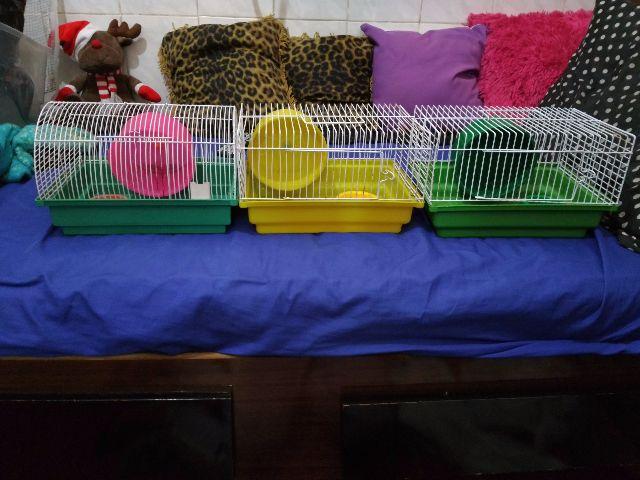 Gaiolas Pequenas para Hamsters com Acessórios