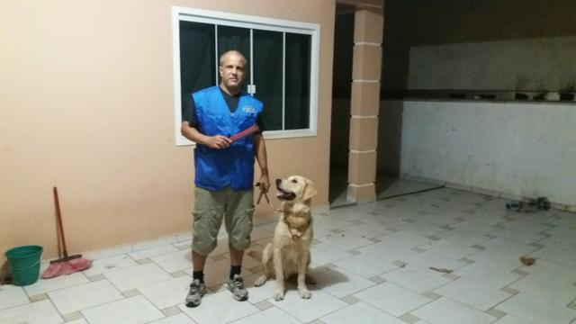Adestrador de Cães em Joinville