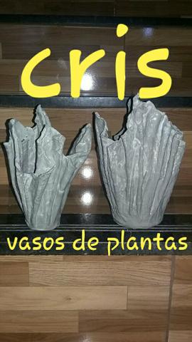 Cris vasos de plantas