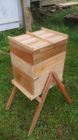Colméia caixa para abelha completa apicultura
