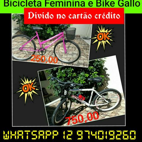 Bike Gallo Alumínio