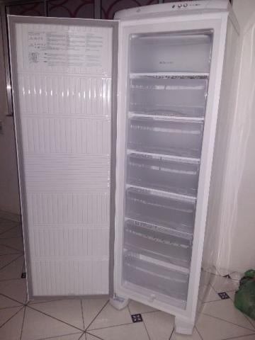 Freezer vertical Electrolux FE Litros 110V