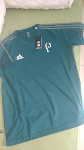 Camisa treino do Palmeiras 