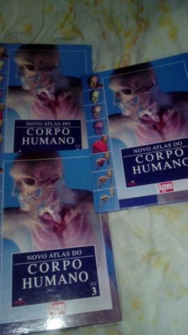 Livro corpo humano