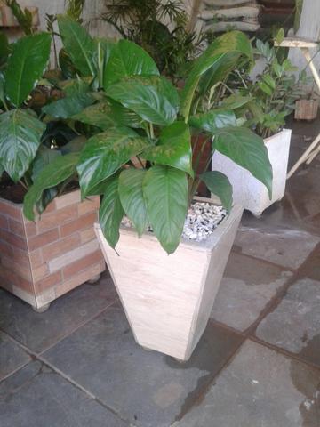 Vaso de cerâmica com planta