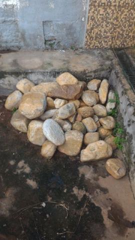 Pedras para lago ornamental ou jardim